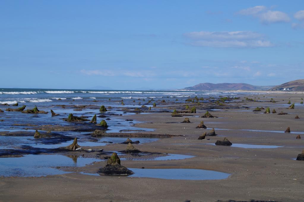 Yha Borth Hostel Exterior photo